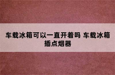 车载冰箱可以一直开着吗 车载冰箱插点烟器